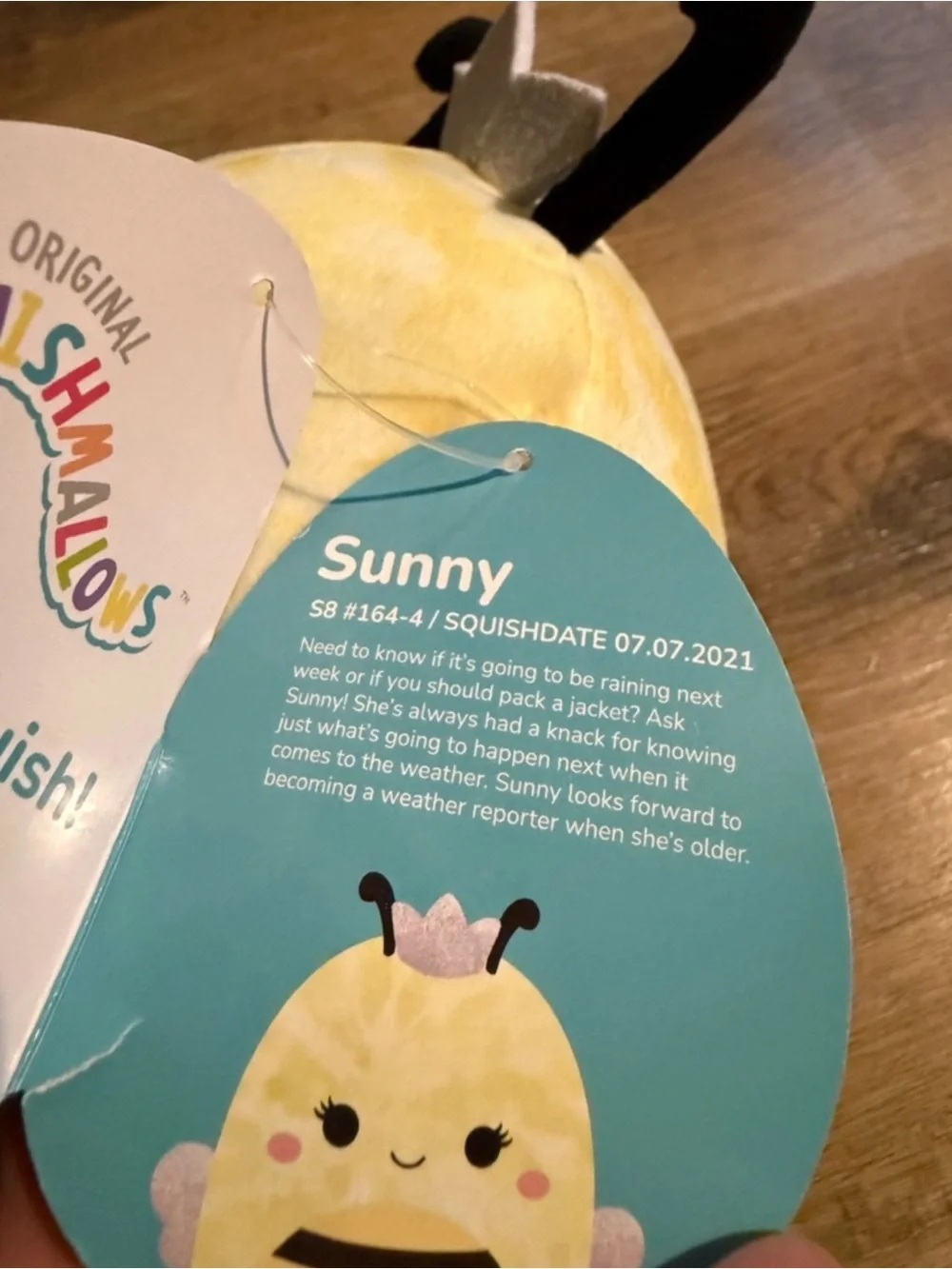 Squishmallow Bundle